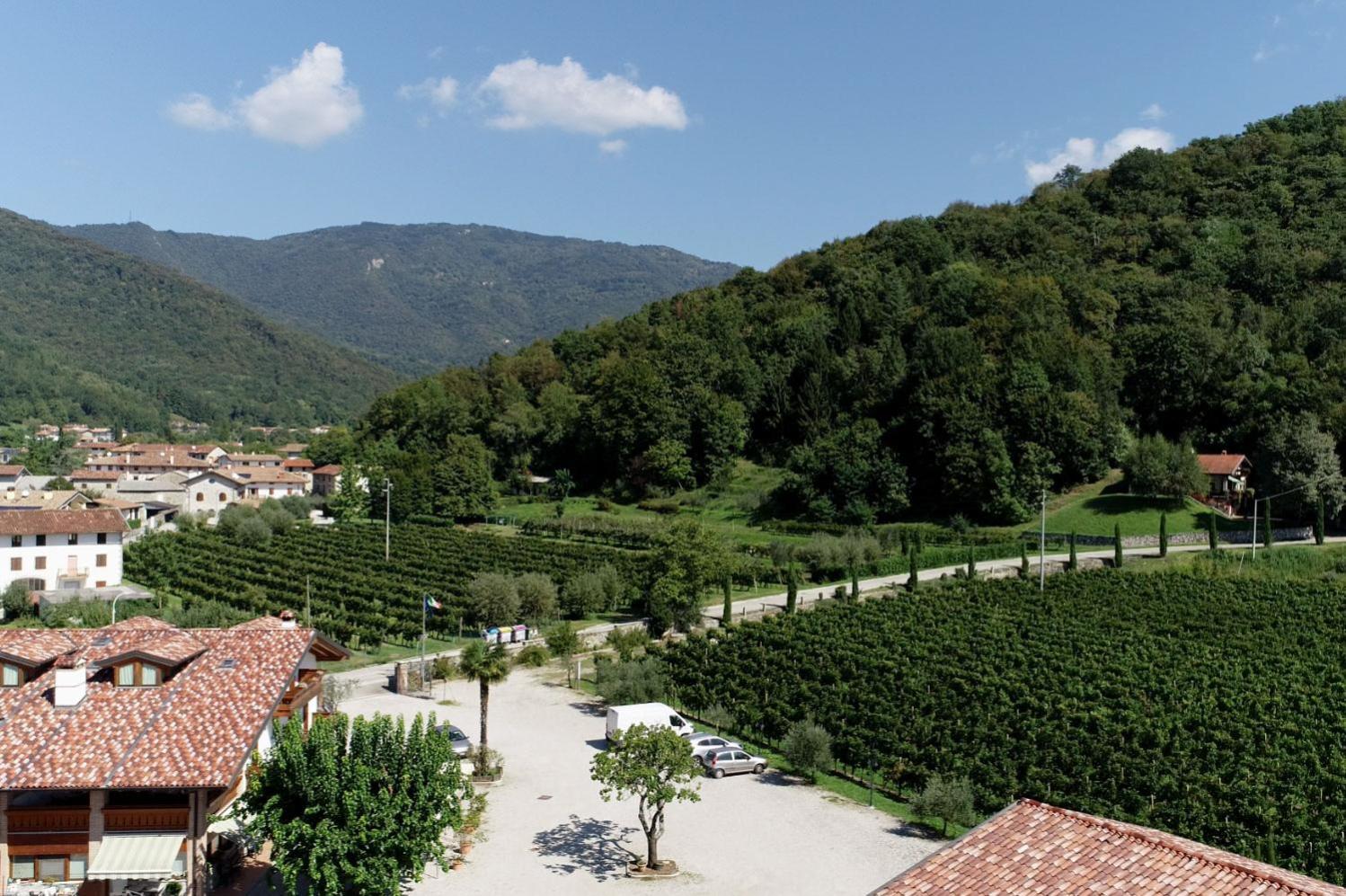 Wine Resort Faedis Екстериор снимка